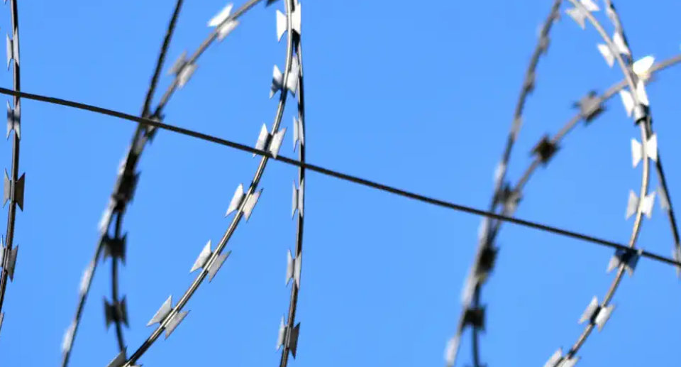 dh-duzlemsel-jiletli-tel